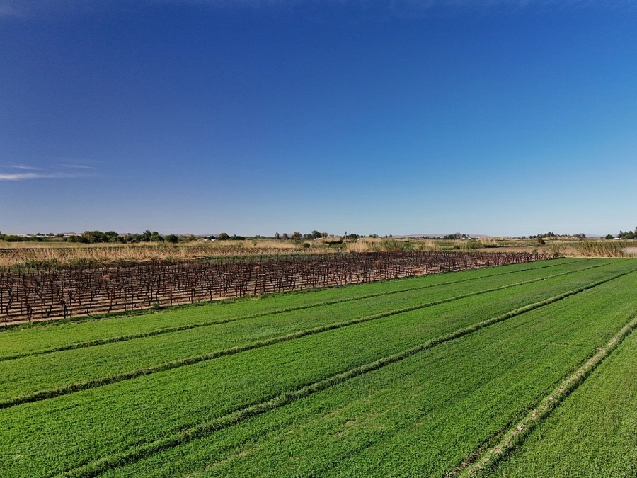 Commercial Property for Sale in Keimoes Rural Northern Cape